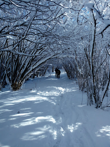Monte Proventino Gallery - Italy