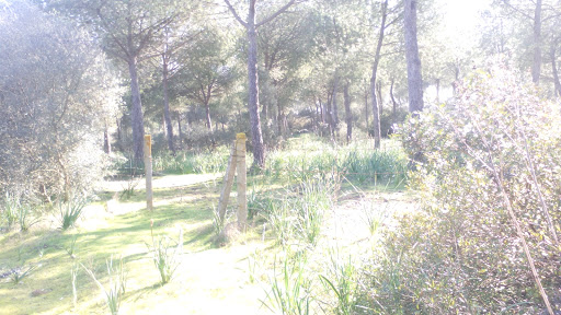 Dehesa la Atalaya - Thumbnail