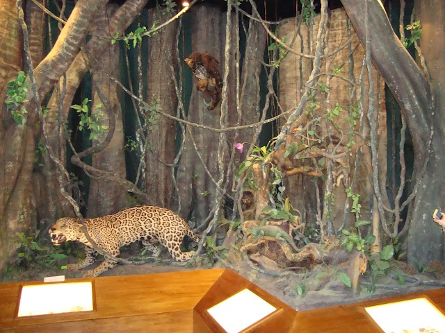 Parque Independência