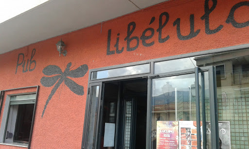 Bar Libelula