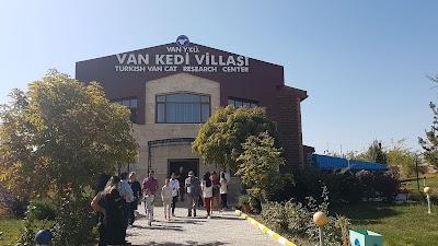 Kedi Evi