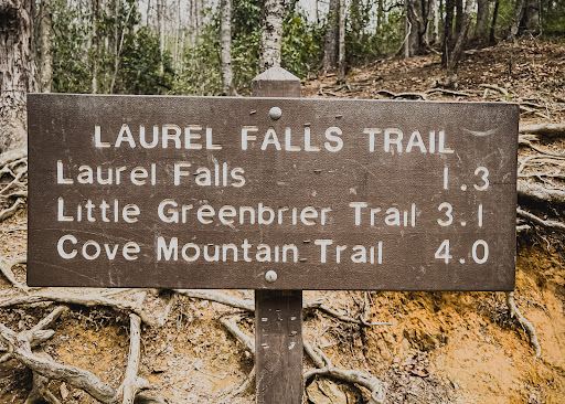 Laurel Falls Trailhead - Thumbnail