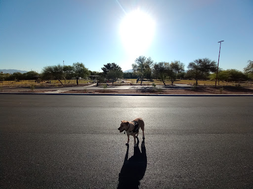 Lincoln Park (Tucson)