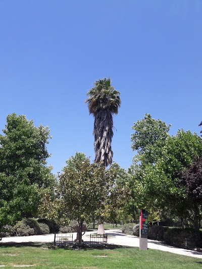Photos of Parque del Recuerdo Padre Hurtado