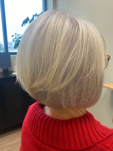 Brianna Johnson Hair MN Gallery - United States