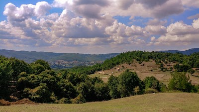 Cüneydi Yaylası