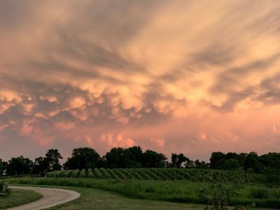 Covered Bridges Winery