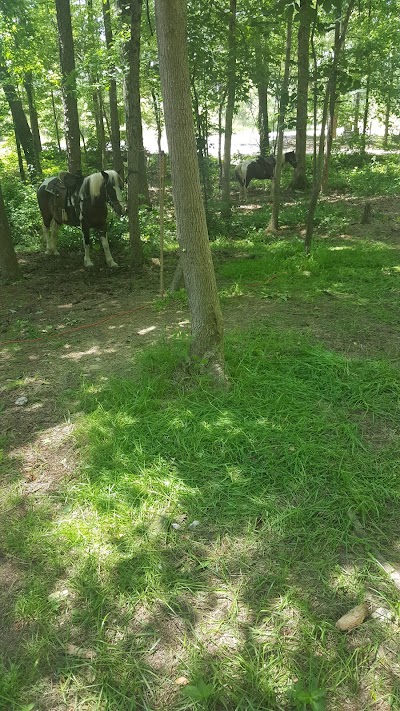 Warden Station Horse Camp