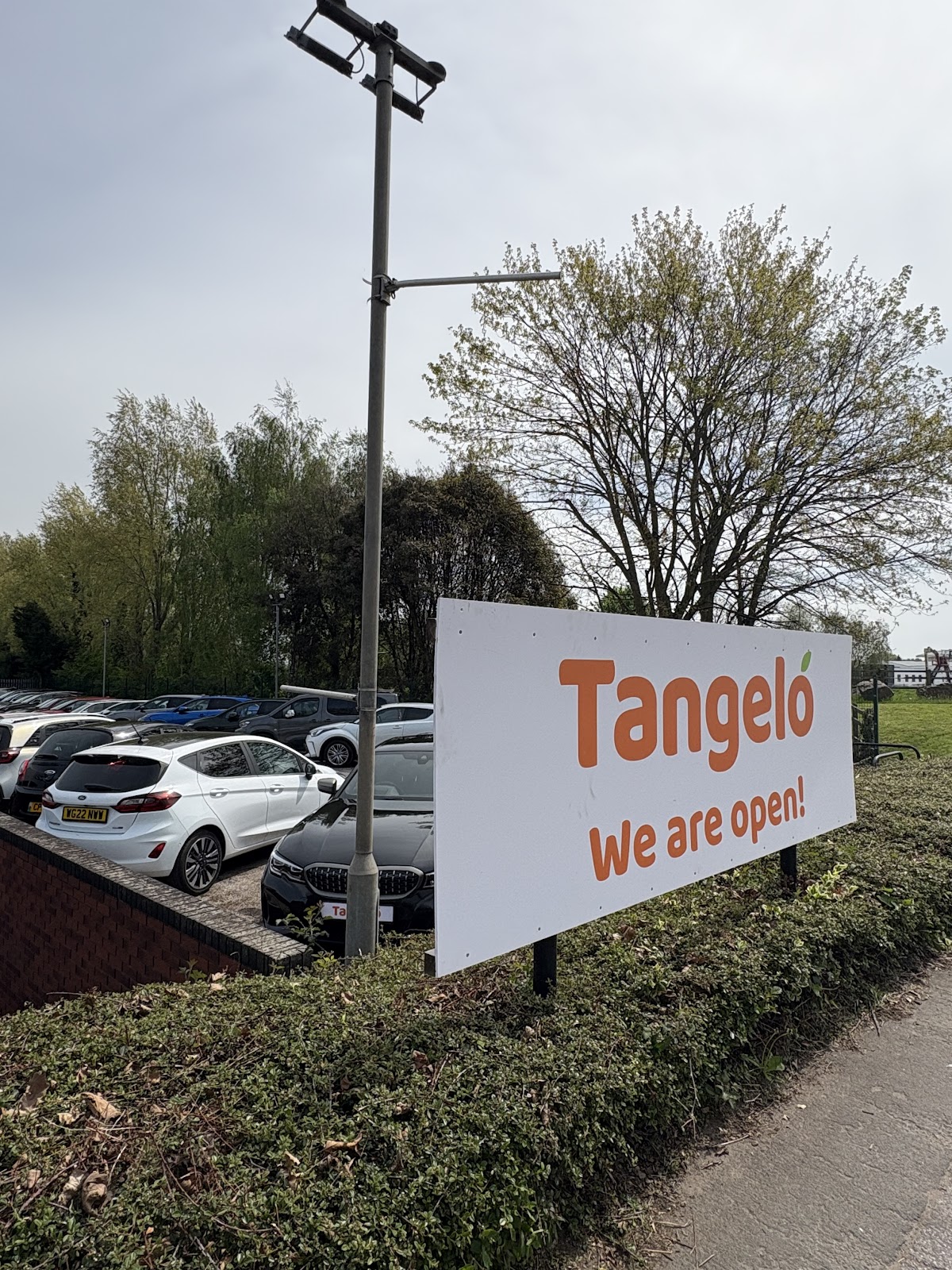 Tangelo Used Cars Exeter
