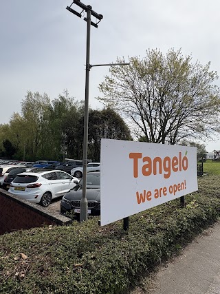 Tangelo Used Cars Exeter