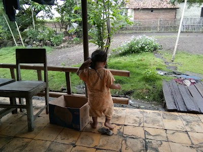 Photos of Iyandotnet