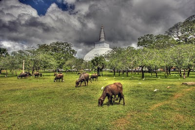 Photos of Maha Viharaya