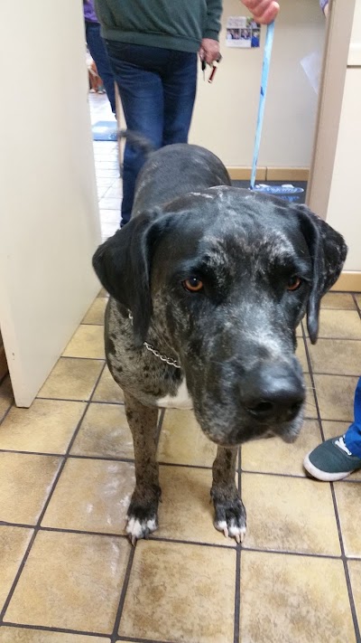 Photos of Brooksville Veterinary Clinic