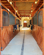 Domaine de Sauboméa - Centre de remise en forme équin à Saint-Vincent-de-Lamontjoie
