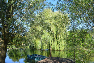 Photo n°21 de La Barauderie à Marigny-Marmande (Location d'appartement de vacances)