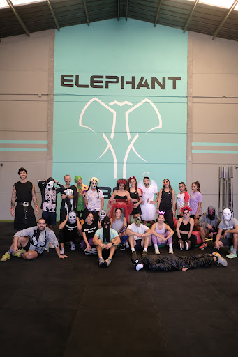 Elephant Box - Thumbnail