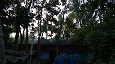 Photos of Baikerjhuty Jama Mosque