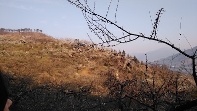 Photos of 이화가든