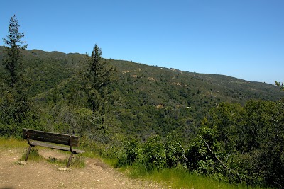Photos of Uvas Canyon County Park
