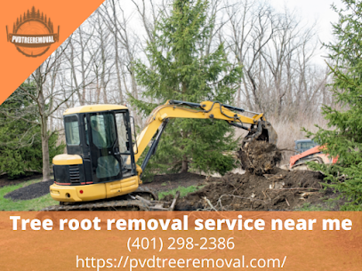 Tree root removal service near me Rhode Island