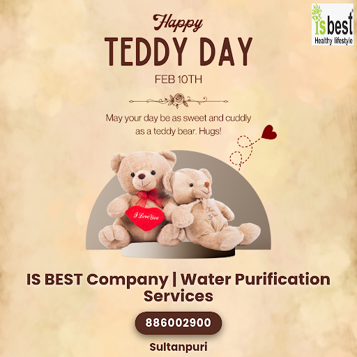 Happy Teddy Day 2026 post image