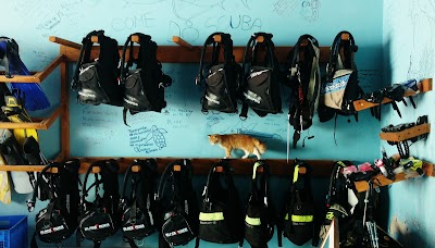 Photos of Manta Divers - Maldives