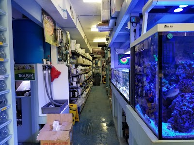 Sea Creature Aquarium