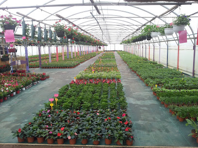 Gaec la Maison Des Fleurs