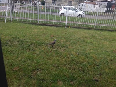 Photos of Ferreteria INDUSTRIAL, Osorno