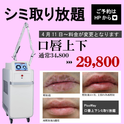 エレクトロポレーション 料金表 │美容皮膚科・皮膚科/志保日比谷皮膚