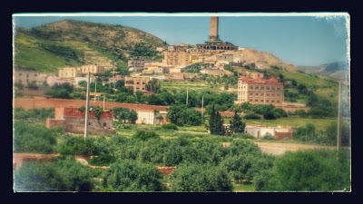 Photos of College Anoual
