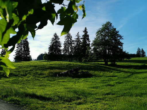 Rundwanderweg Grüner Pfad - Thumbnail