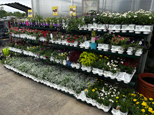 Cornerstone Ace Hardware - Thumbnail