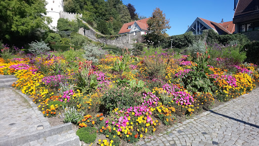 Biberach Park - Thumbnail