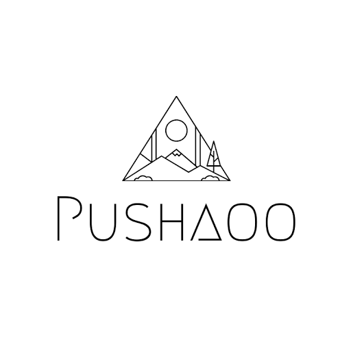 Pushaoo - Visual
