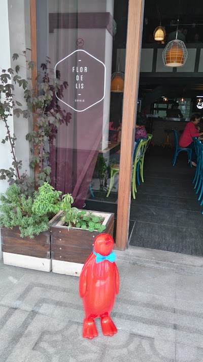 Photos of Flor De Lis