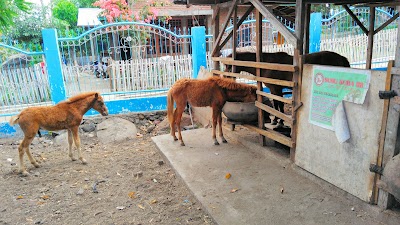 Photos of wisata Susu kuda