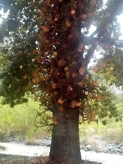 Photos of Jugos San Miguel