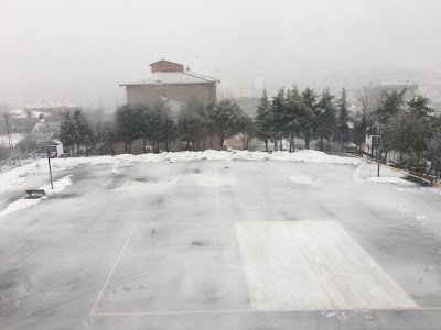 university