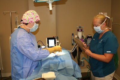 Photos of Falcon Valley Animal Hospital