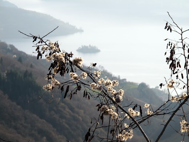 Isola di Loreto