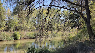 Photo n°8 de Bateau Le Cathare à Vias (Agence de croisières)