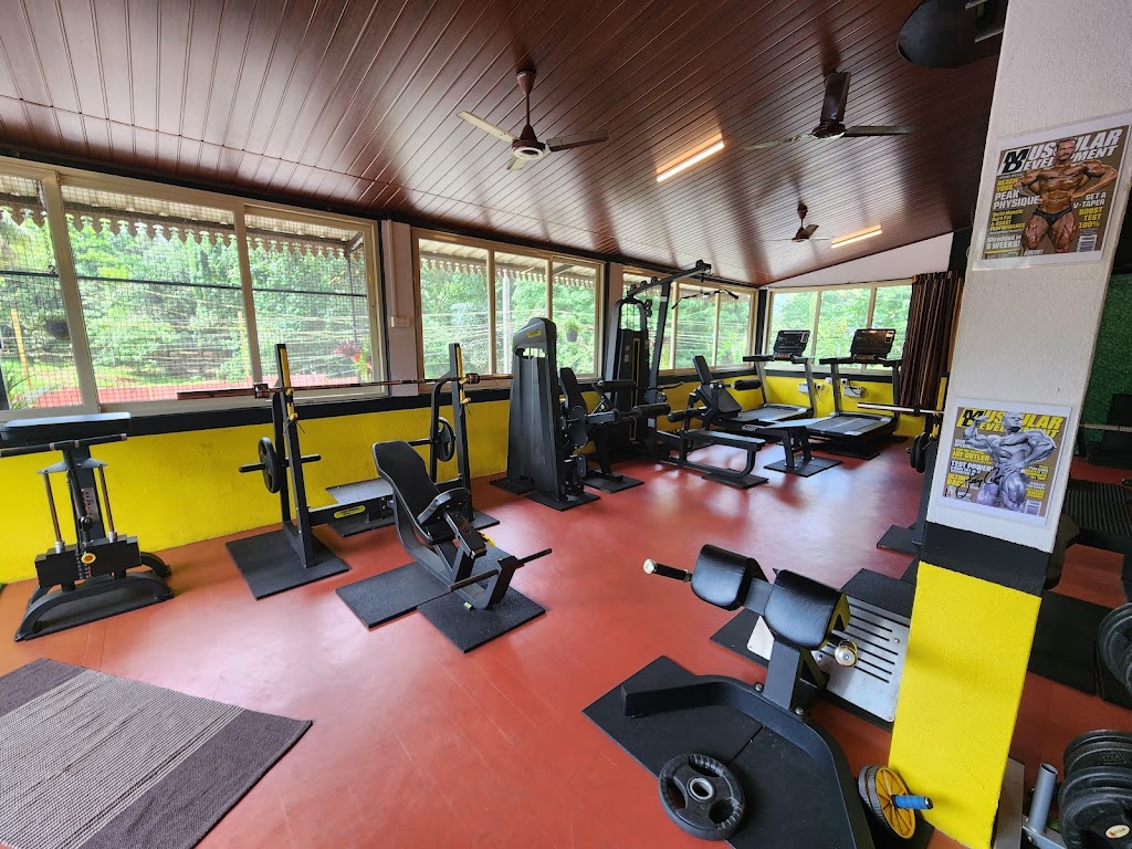 Apex Gym Fitness Goa