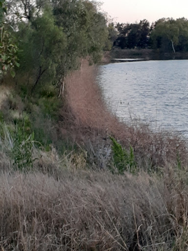PCYC Maranoa