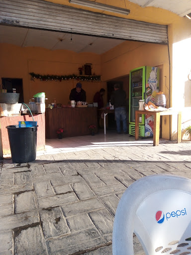 Gera's Gallery - Mexico