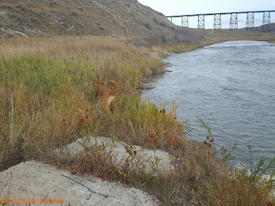 Cut Bank Creek