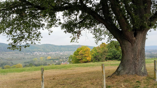 Air et Vie - Thumbnail
