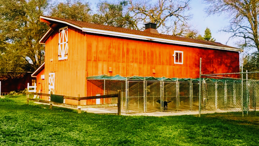 Red Barn Boarding
