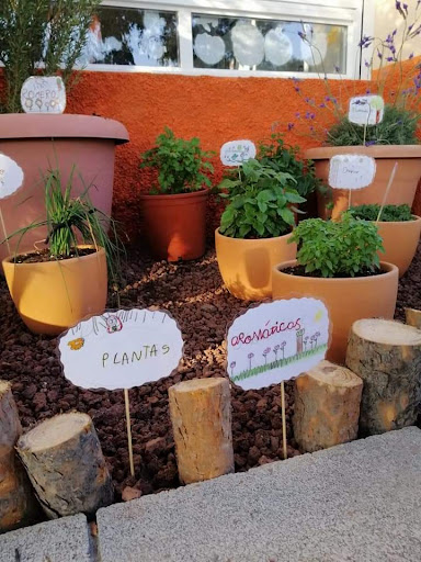 Primary School The Glen of Fenollar Alicante Gallery - Spain