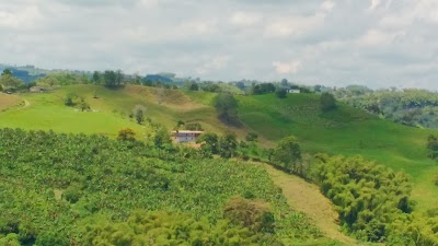 Photos of Arabia, Pereira, Risaralda